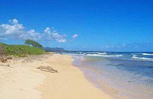 Hanamaulu House | House ∙ 2 guests