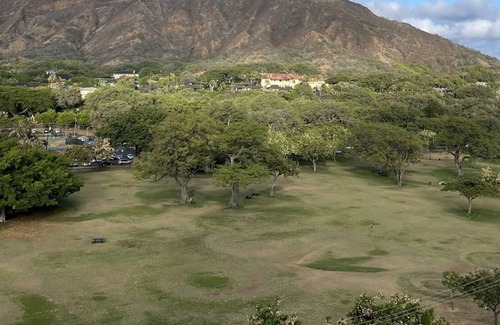 Diamond Head - Kapahulu - St. Louis Apartment | Immaculate Modern Diamond Head Jewel, enclosed yard, pets, children allowed!