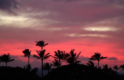 Poipu Apartment | Kiahuna Plantation 96, Poipu Beach, Club Membership, Part Ocean View, Kids Toys