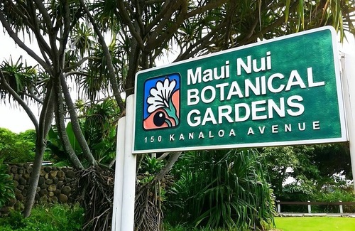 Kahului House | Nature Escape! 4 Great Units, Outdoor Pool, Close to Iao Valley State Park!