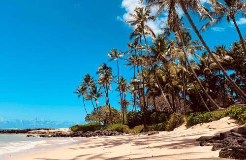 Kihei Resort | Resort ∙ 2 guests