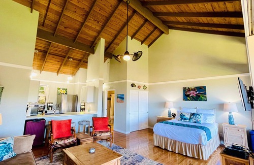 Maunaloa House | Spacious King studio in Paniolo Hale at Kepuhi Beach with amazing ocean views