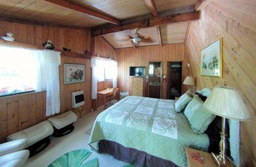 Volcano Bed & Breakfast | 17 m² Bed and breakfast ∙ 2 guests