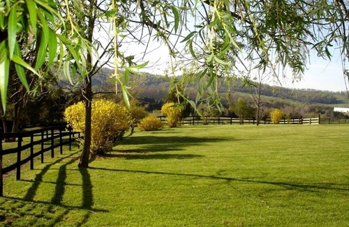 Gordonsville Cottage | 1856 Manor Vacation Rental on Huge Horse and Cattle Farm near Charlottesville, Virginia
