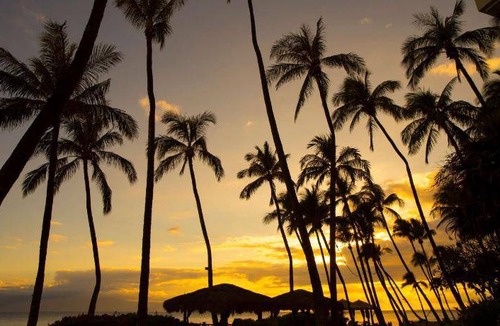 Kaanapali Resort | 191 m² Resort ∙ 3 bedrooms ∙ 8 guests