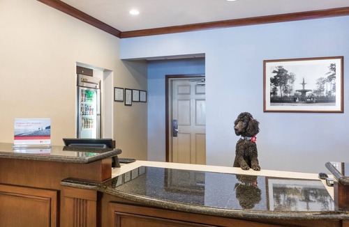 Historic District - North Apartment | 1BR King Suite w/Kitchen | Free Breakfast + Gym