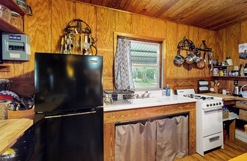 Bronson Cabin | 1BR Riverfront w/Views, Canoe, Grill & Fire Pit