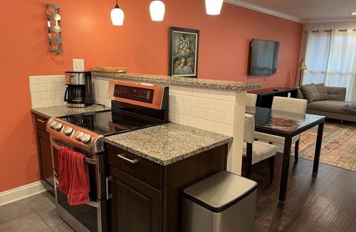 Barton Hills Apartment | 2/2 Walk to Barton Springs and Zilker Park!