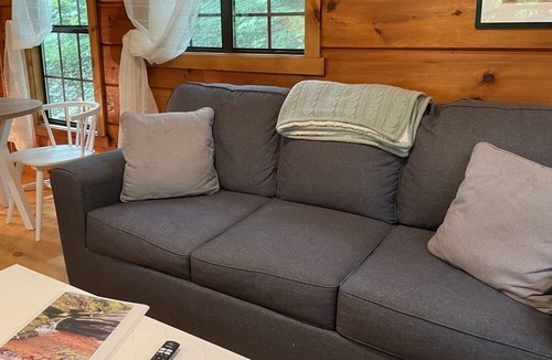 Saluda Cabin | 2 Cozy quiet nestled cabin w/ hot tub, firepit and waterfall in Saluda, NC