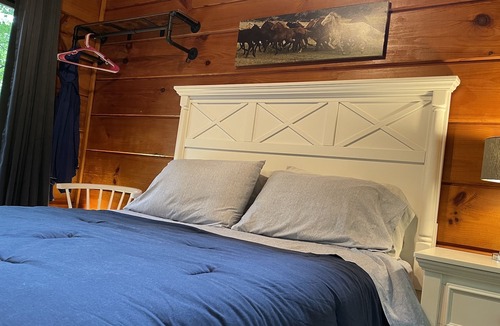 Saluda Cabin | 2 Cozy quiet nestled cabin w/ hot tub, firepit and waterfall in Saluda, NC