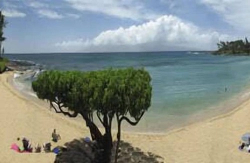 Napili Condo | 266 m² Condo ∙ 6 bedrooms ∙ 16 guests