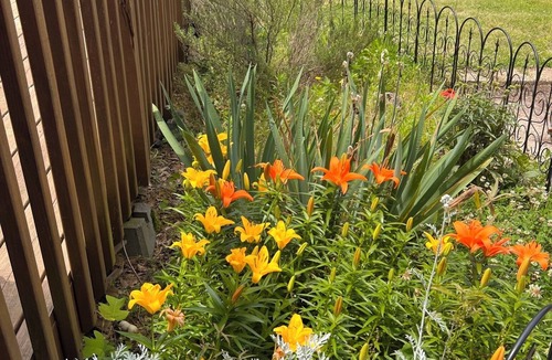 Travelers Rest House | 3/2 with pool; 1/4-mile neighborhood walk to Swamp Rabbit Trail