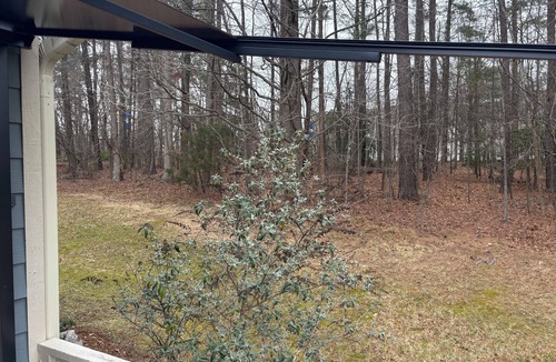 North Raleigh House | 3-bedroom, very quiet townhome in amazing North Raleigh walkable neighborhood
