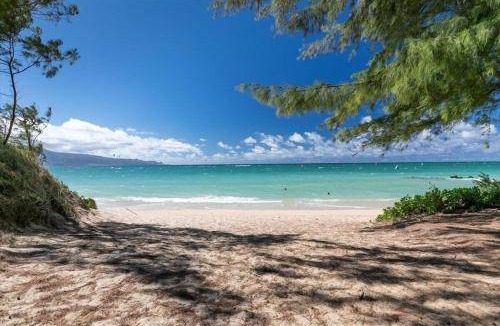 Wailuku Apartment | 30 m² Apartment ∙ 1 bedroom ∙ 4 guests