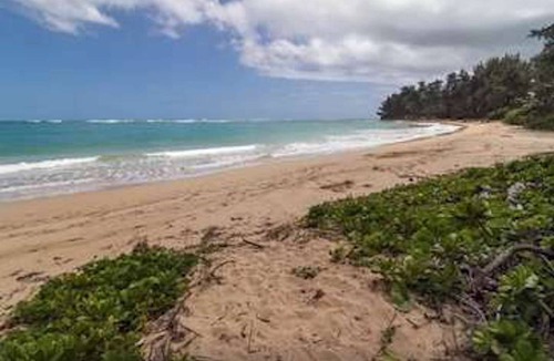 Laie House | 390 m² House ∙ 9 bedrooms ∙ 34 guests