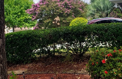 Martinez House | 4 bedroom home 10 mins from Master's tournament