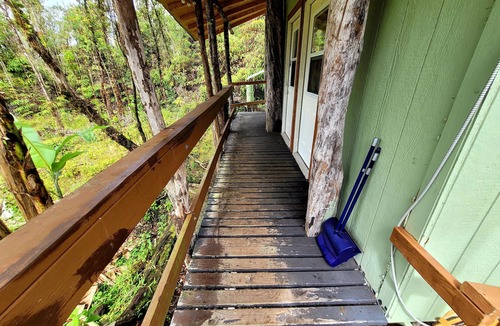 Fern Forest Cabin | #5Cabin w/PRIVATE indoor BATHROOM TV MICROWAVE
