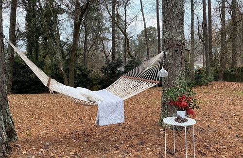 Roswell House | 9min from DT Alpharetta and DT Roswell - Equestrian - River - Hike - MTB Trail