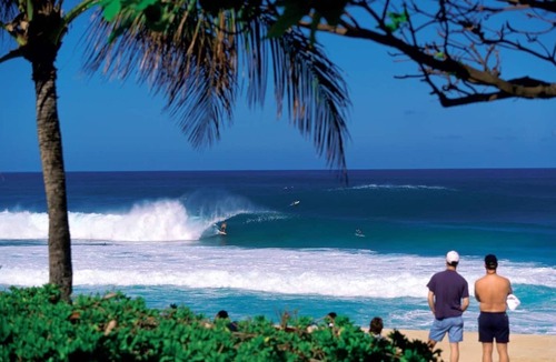 Pupukea Apartment | A Perfect Place to Relax After a Beach Day!