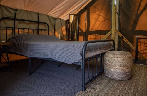 Saluda Cabin | A Place You'll Surely Enjoy! Short Drive to Little Bradley Falls, Pet-Friendly