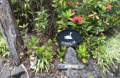 Volcano Apartment | A Private Getaway in the Rainforest. One mile from Volcano National Park.