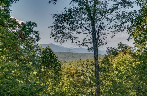 Saluda Cabin | Almost Haven Located between Saluda and Tryon 25 Min. to TIEC; Zip-lining, hiking & more!