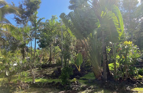 Kehena Apartment | Aloha Bungalow, Garden Level 1 Bedroom, walking distance to Kehena Beach.