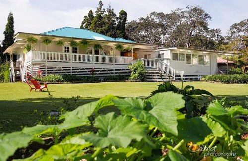 Volcano House | Aloha Junction Bed and Breakfast -Minutes away from Hawaii Volcanoes National Park
