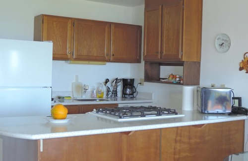 Kaunakakai Condo | ALOHA OceanFront Condo w.A/C, Molokai, Hawaii Watch whales Dec-April.