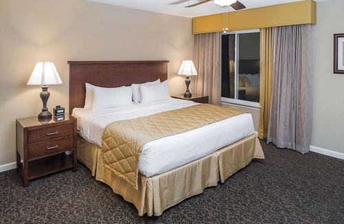Berkeley Hotel | Always a Great Idea To Unwind! 3 Amazing Suites w/Kitchen and Living Room