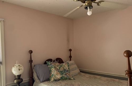 Easley House | Animal friendly, personalized and close to everything