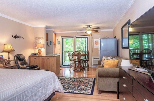Lake Lure Apartment | Apple Valley 57 at Rumbling Bald