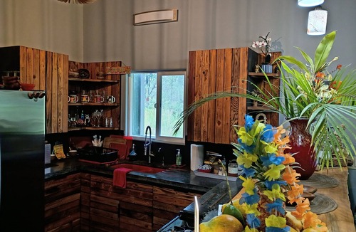 Fern Forest House | As seen on Discovery Channel's "Building off the grid" Volcano Home!