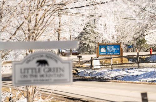 Beech Mountain House | At The Ski Resort Entrance, Gas Fireplace, Deck, Firepit,