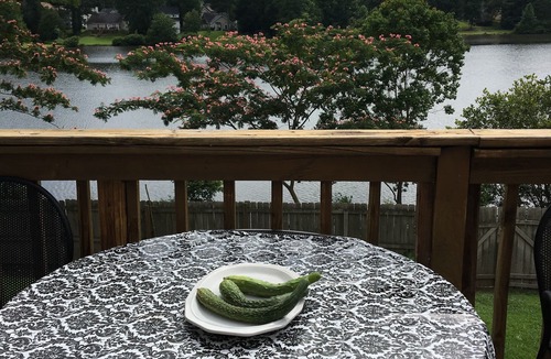 Lithonia House | Atlanta Vacation House with Lake