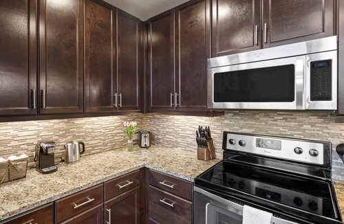 Waller Creek District Apartment | Austin | Comfortable 1BD/1BA Apartment