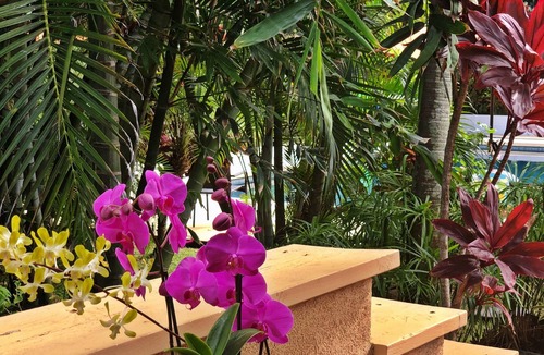 Kahului Villa | Beach Villa with large Pool, Perfect for Kiters & Windsurfers, Families