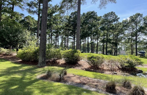 Calabash Apartment | Beaches and Birdies II - First Floor Golf Resort Studio