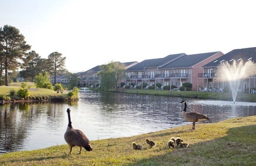 Surfside Beach Apartment | Beautiful 2 bedroom unit at resort, sleeps 6