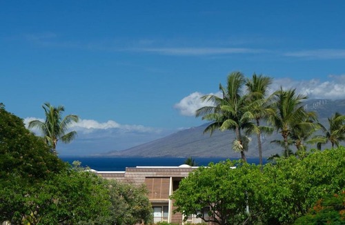 Kihei Apartment | Beautiful 2 Bedroom Oceanview Condo at Maui Kamaole Located at South End of Kihei Adjacent to Wailea Traditional Hawaiian Style