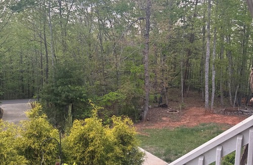 Lynn House | Beautiful 3-bedroom house with AC in pleasant Columbus