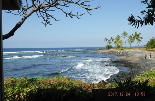 Kahaluu Bay Condo | Beautiful Ocean/Beachfront Property and A Private Back Yard! AC in both BDRMS!