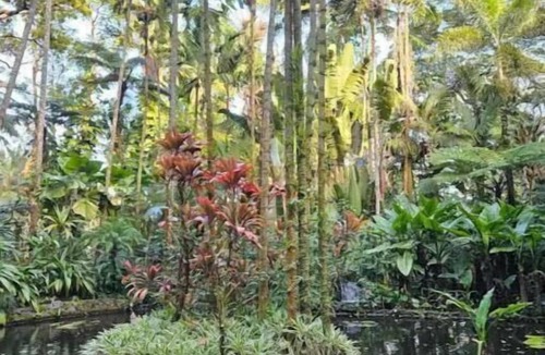 Keaau House | Beautiful Paradise Park Hale