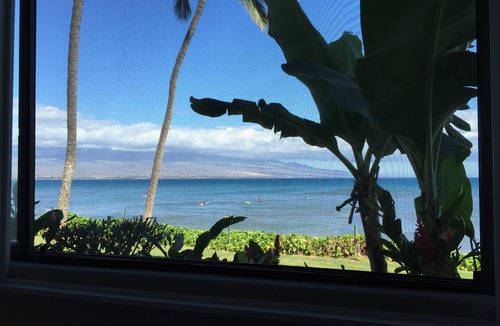 Maalaea Condo | Beautifully Upgraded, Beachfront, Ground Floor.Dream Vacation! #118