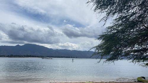 Waialua Bed & Breakfast | Bed and breakfast ∙ 1 bedroom ∙ 2 guests