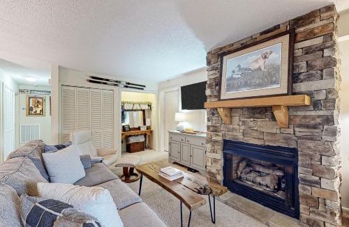 Sugar Mountain Apartment | Bee Branch 13