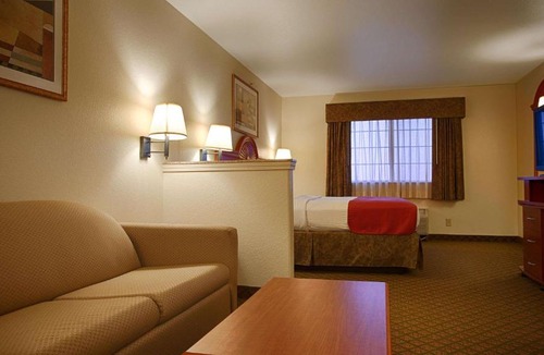 Clay Hotel | Best Western Inn & Suites - Henrietta