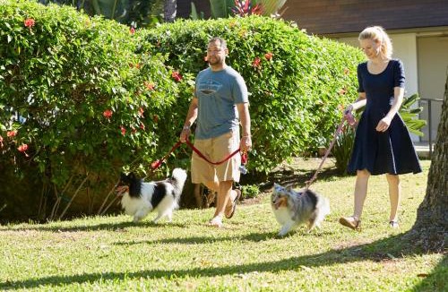 Western Honolulu Hotel | Best Western The Plaza Hotel Honolulu Airport - Free Breakfast