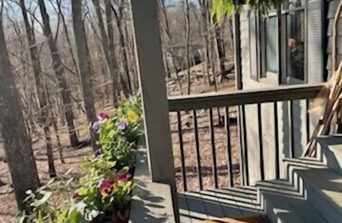 Big Canoe House | BIG CANOE Peaceful Relaxing Mountain Home.