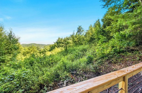 Laurel Springs Cabin | Blue Ridge Parkway/Off-Grid Cabin/Glamping/Hummingbird Hideaway
